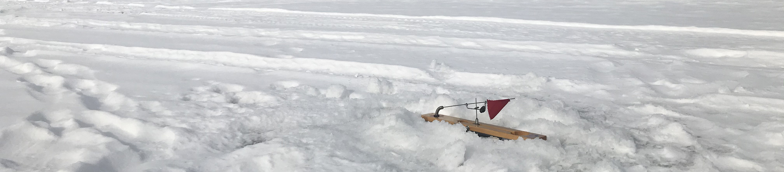 Perch Ice Fishing
