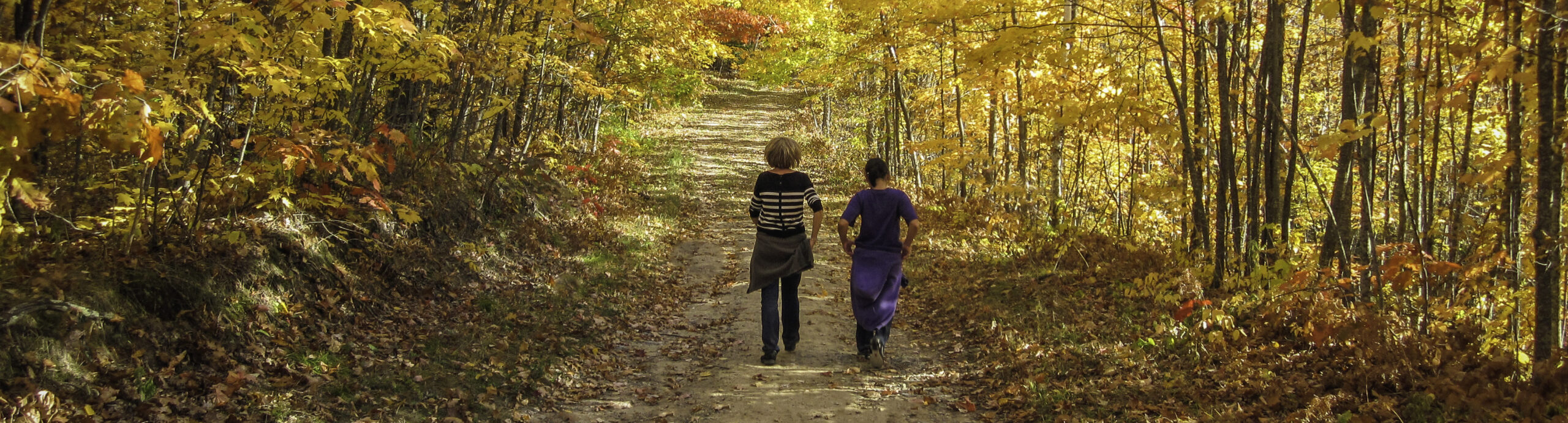 Fall Hikes near Leech Lake