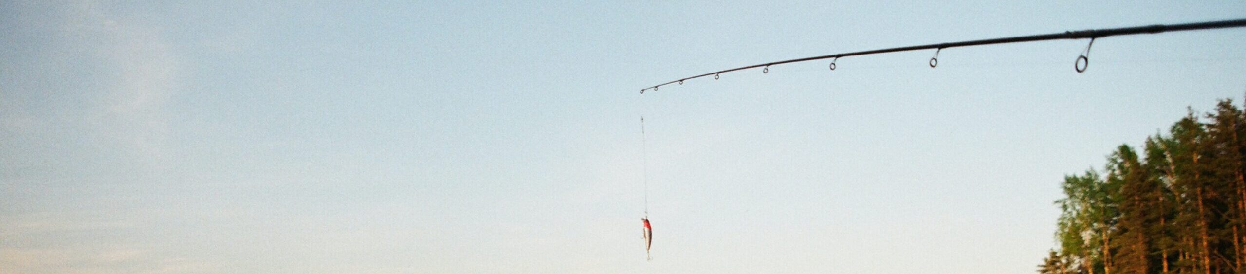 fishing pole with lure