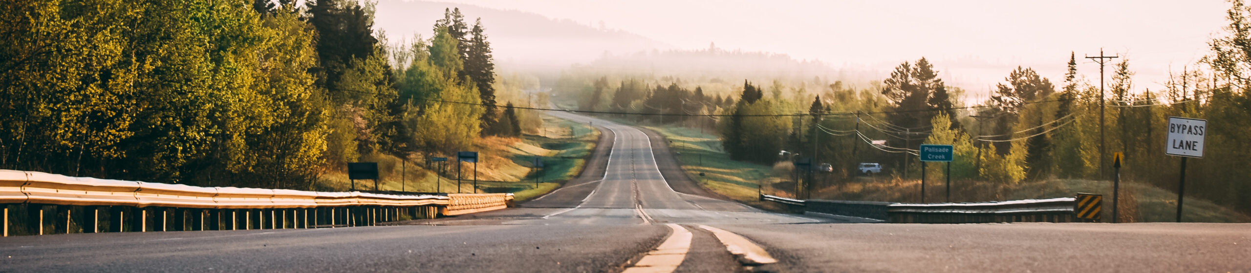 Open road surrounded by trees with fog ahead