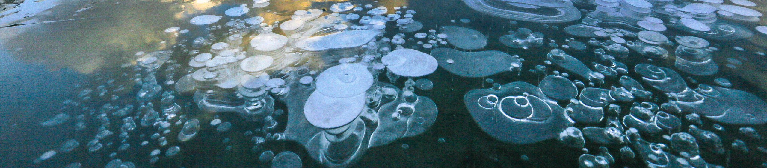 shoreline ice