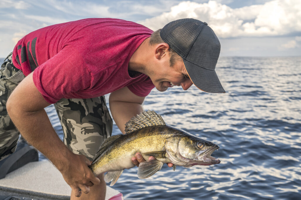 Man catching and releasing a large fish in Leech Lake Minnesota