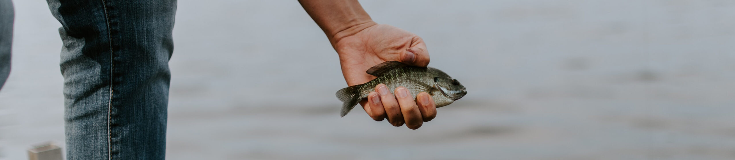someone holding a small fish