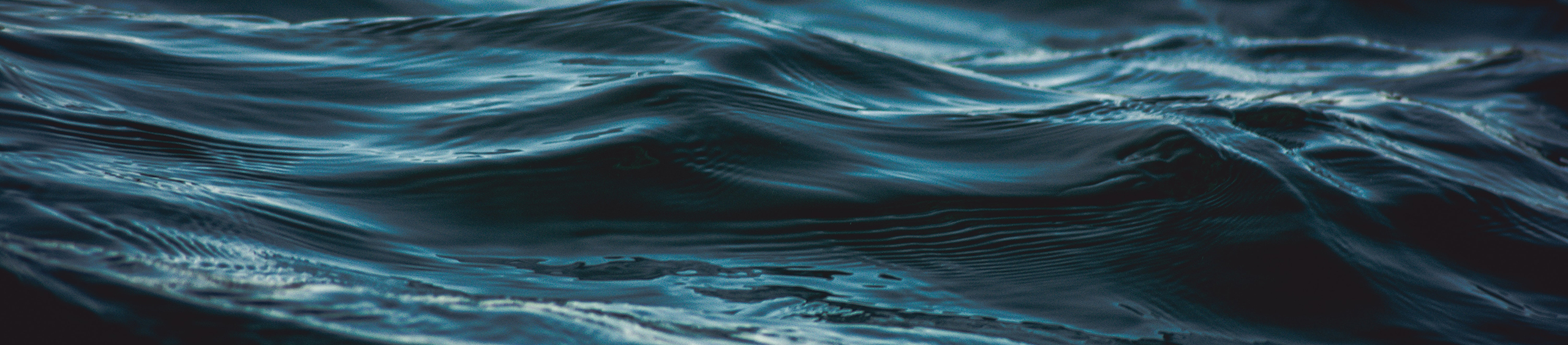 leech lake water