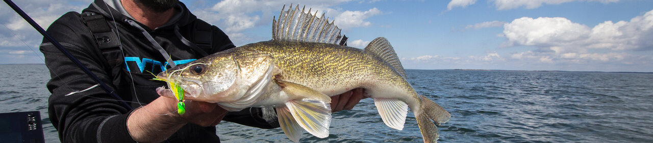 fishing