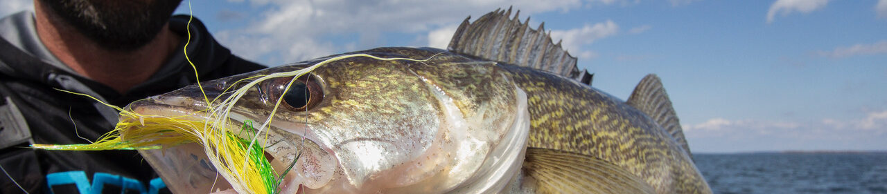 Largest fish ever caught in the leech lake area