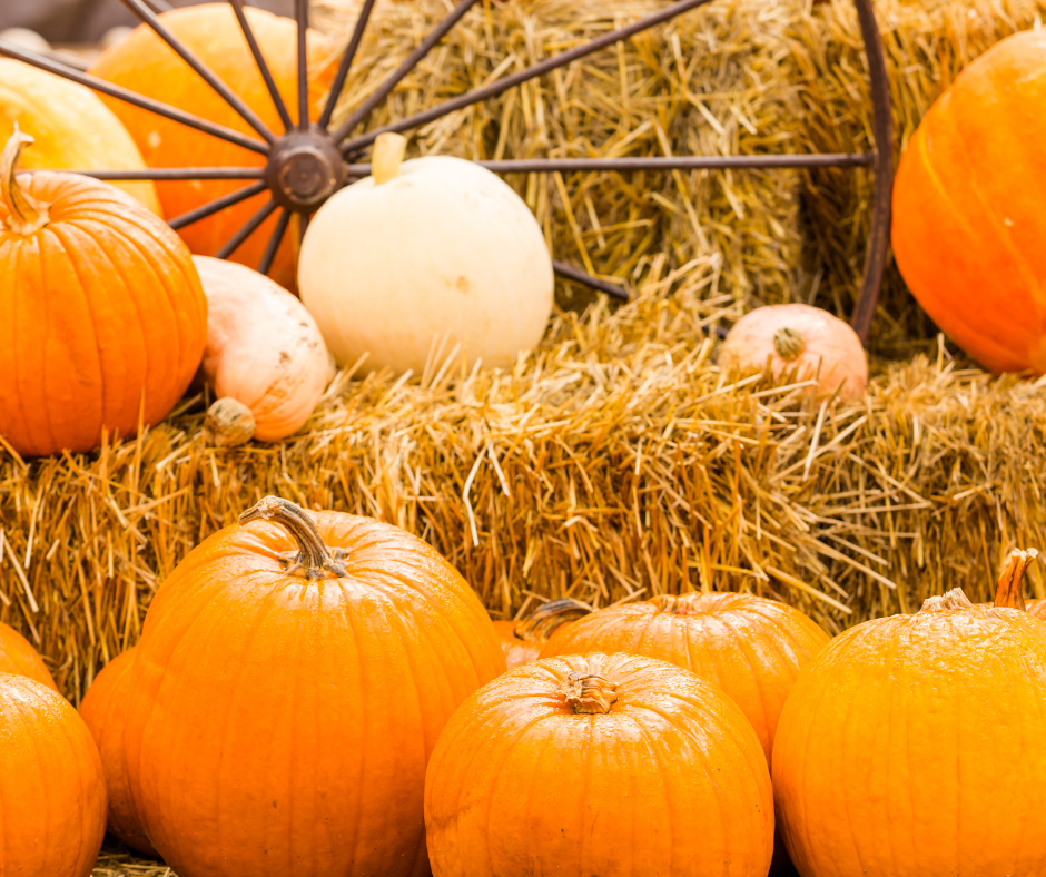 Pumpkins and hay in fall