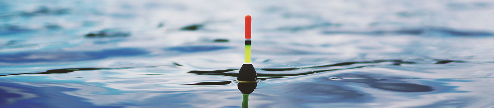 fishing bobber