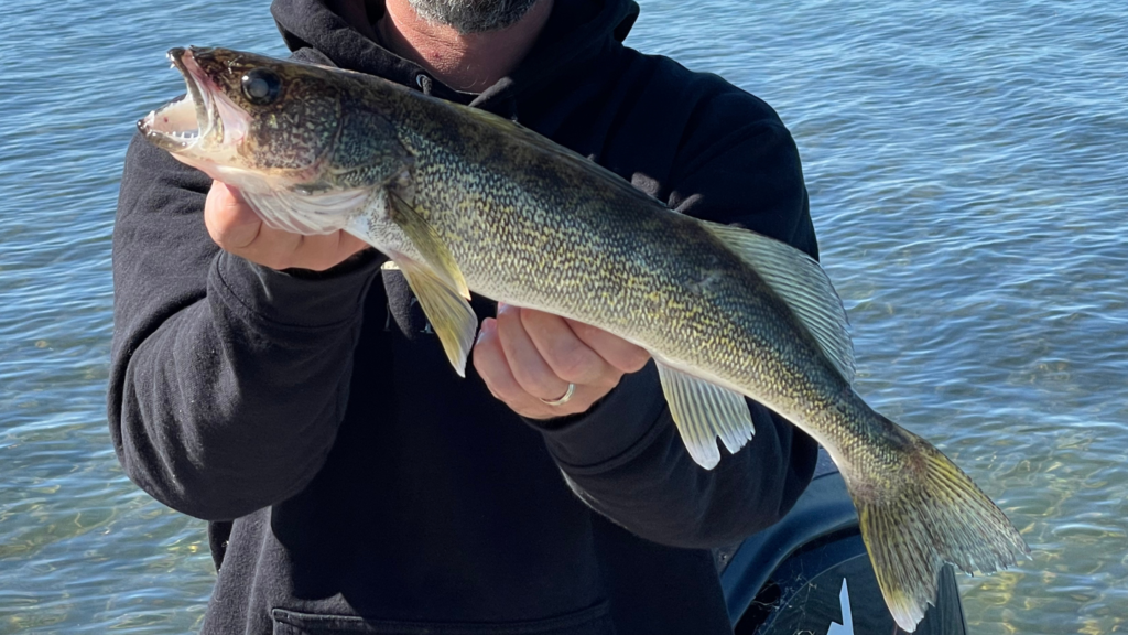 man holding a fish on leech lake