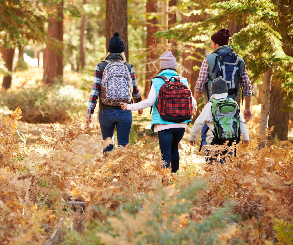 Family hiking through the woods